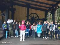 img_20260611_104655_small.jpg